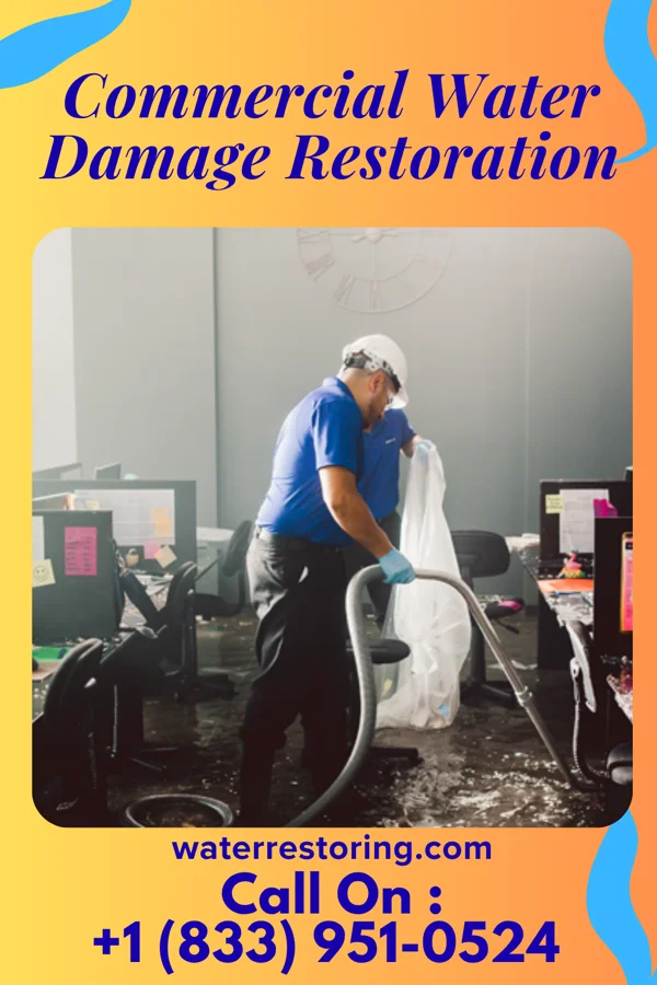 Commercial Water Damage Restoration in Boulder Flats, WY