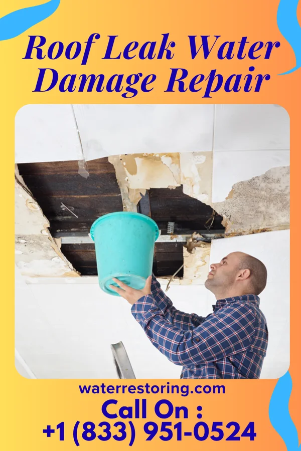 Roof Leak Water Damage Repair in Boulder Flats, WY